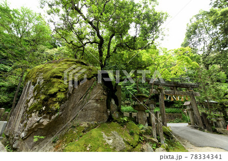 磐船神社の入口鳥居 【大阪府交野市】 磐船神社の入口鳥居 【大阪府交野市】 78334341