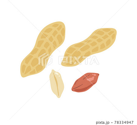 殻付き落花生　ピーナッツのベクターイラストセット 78334947