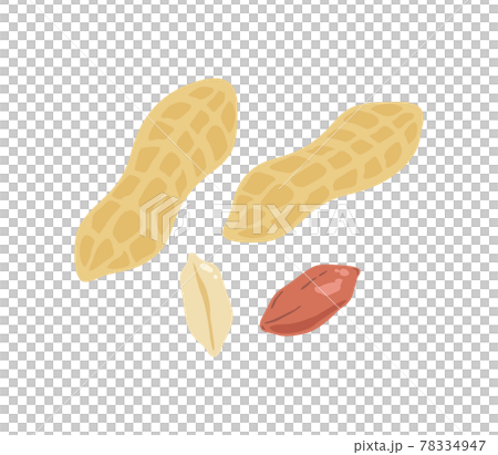 殻付き落花生　ピーナッツのベクターイラストセット 78334947