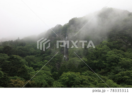 別子ラインの「清滝」 別子ラインの「清滝」 78335311