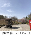 風景　山　桜 78335793