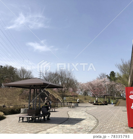 風景　山　桜 78335793
