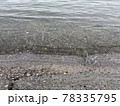 海　水 78335795