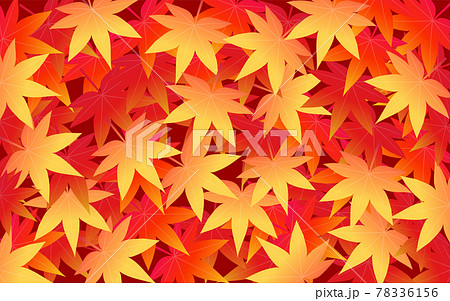 秋の紅葉背景 一面の落ち葉のイラスト素材
