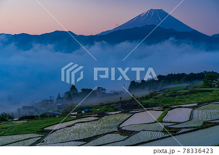 （山梨県）田植えが終わった、中野の棚田　夜明け 78336423