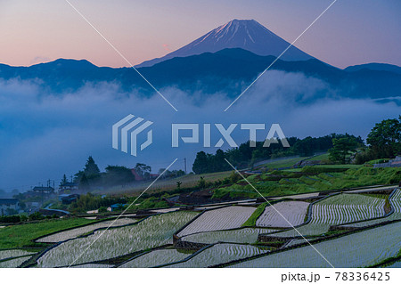 (山梨県)田植えが終わった、中野の棚田 夜明け (山梨県)田植えが終わった、中野の棚田 夜明け 78336425