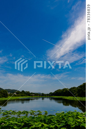 夏空の下の湖水ヶ池 夏空の下の湖水ヶ池 78336839