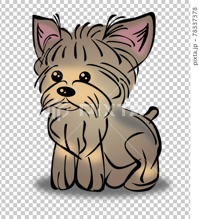 ヨーキーのイラスト素材 ヨーキーのイラスト素材