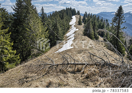 Big Fatra mountains from Lysec hill, Slovakia Big Fatra mountains from Lysec hill, Slovakia 78337583