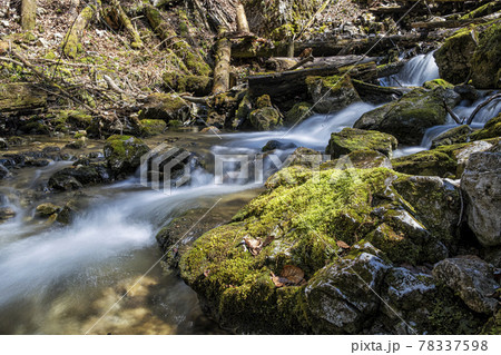 Flowing creek, Velky Sokol gorge, Slovak Paradise national park 78337598