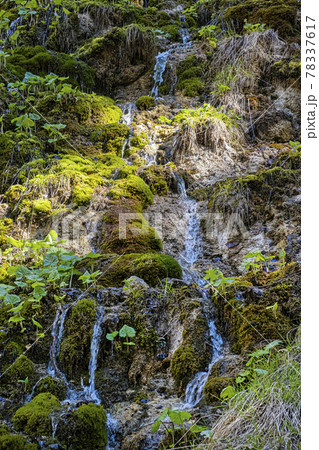 Velky Sokol gorge, Slovak Paradise national park 78337617