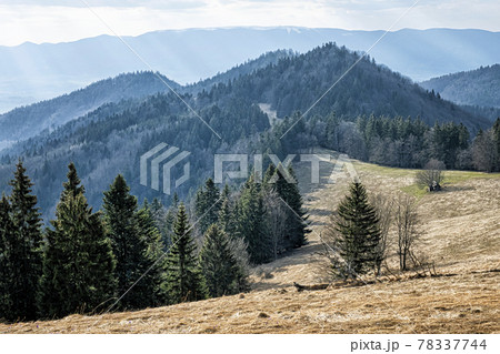 Big Fatra mountains scenery, Slovakia Big Fatra mountains scenery, Slovakia 78337744