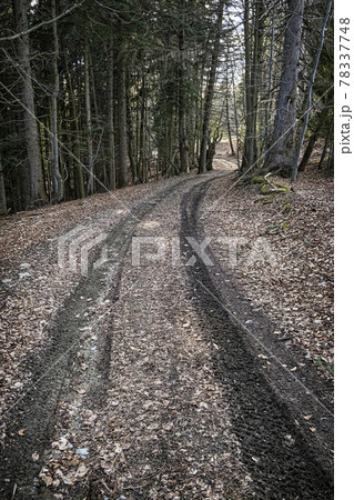 Tourist path in Big Fatra mountains, Slovakia Tourist path in Big Fatra mountains, Slovakia 78337748
