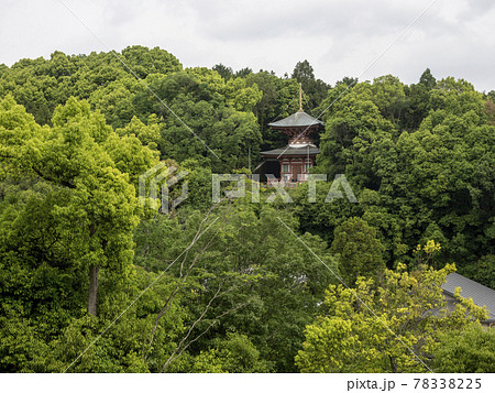 緑に囲まれた山の中の多宝塔 緑に囲まれた山の中の多宝塔 78338225