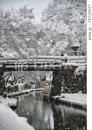 八幡堀雪景色 2020年大晦日 八幡堀雪景色 2020年大晦日 78339047