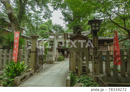 京都御苑内にある白雲神社です 78339272