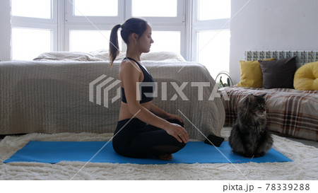 Young woman blogger shoots video doing Yoga exercise with phone while Maine Coon cat is sitting side by side at home. Sport and fitness. Training, workout and wellness concept. During Quarantine. 78339288