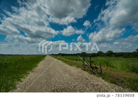 利根川沿いのサイクリングロード、林道 78339608