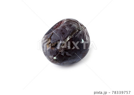 Rotten plum isolated on white Rotten plum isolated on white 78339757