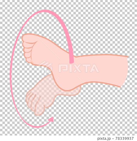 Ankle rotation exercise 78339937