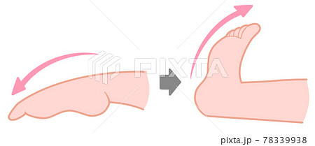 足を前屈後屈させる運動のイラスト素材