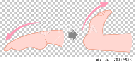 足を前屈後屈させる運動 78339938