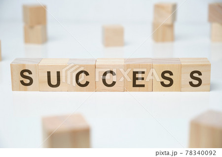 Modern business buzzword - success. Word on wooden blocks on a white background. Modern business buzzword - success. Word on wooden blocks on a white background. 78340092