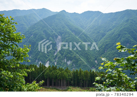 長野県 兵越峠 長野県道369号の景色 長野県 兵越峠 長野県道369号の景色 78340294
