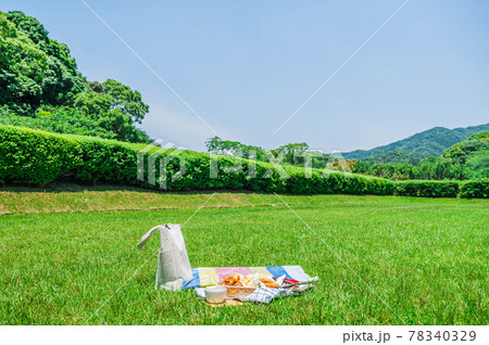 晴れた日のピクニック 晴れた日のピクニック 78340329