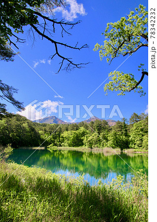初夏の五色沼「るり沼と磐梯山」(福島県・北塩原村) 初夏の五色沼「るり沼と磐梯山」(福島県・北塩原村) 78342232