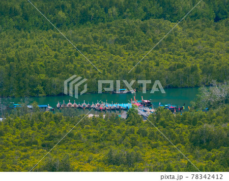 マングローブ林の中の船着き場 (パンガー県、タイ) マングローブ林の中の船着き場 (パンガー県、タイ) 78342412