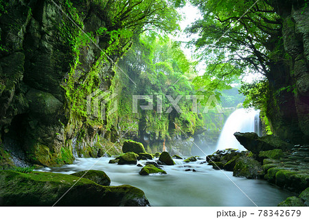 梅雨の雨を弾き飛ばす黄牛の滝 78342679