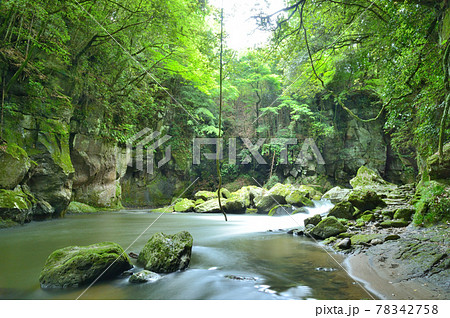 梅雨の雨を飲み込む稲葉川 78342758