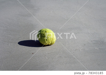 Adam's apple on the seashore. 78343185