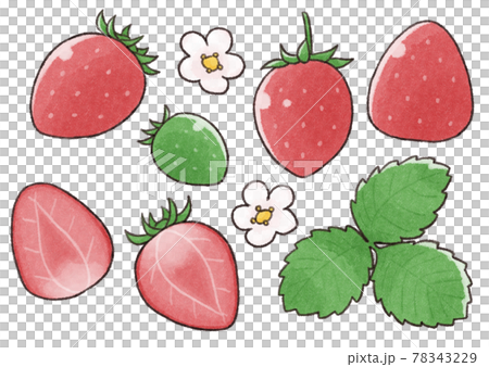 【水彩水果】草莓插畫套裝 【水彩水果】草莓插畫套裝 78343229
