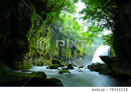 梅雨の雨を弾き飛ばす黄牛の滝 梅雨の雨を弾き飛ばす黄牛の滝 78343258