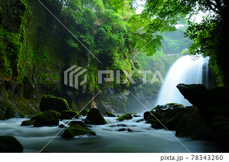 梅雨の雨を弾き飛ばす黄牛の滝 78343260