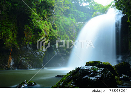 梅雨の雨を弾き飛ばす黄牛の滝 78343264