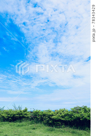 6月の青空　古房地公園　茨城県日立市 78343429