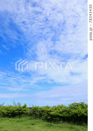 6月の青空　古房地公園　茨城県日立市 78343430