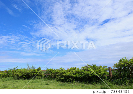 6月の青空　古房地公園　茨城県日立市 78343432