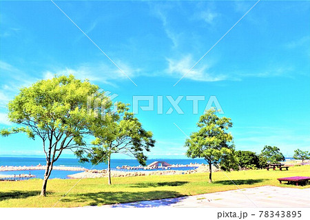 せんなん里海公園 せんなん里海公園 78343895