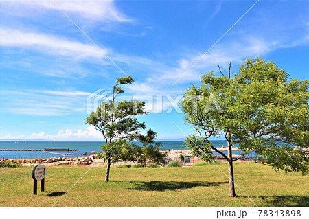 せんなん里海公園 78343898