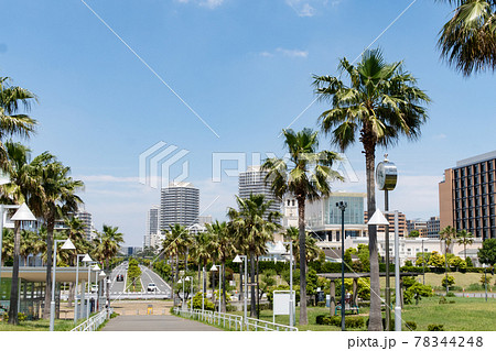 浦安市総合公園 浦安市総合公園 78344248