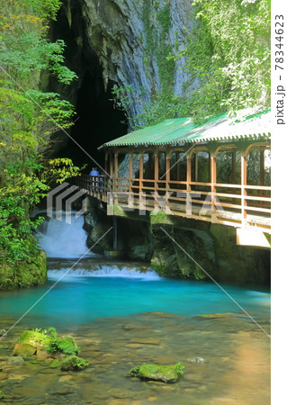 【山口県】秋芳洞入口付近 【山口県】秋芳洞入口付近 78344623