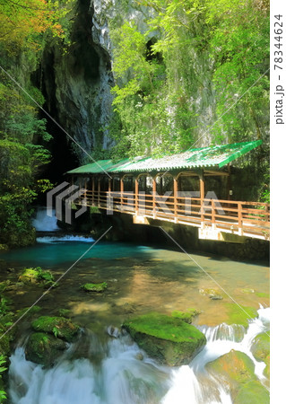 【山口県】秋芳洞入口付近 【山口県】秋芳洞入口付近 78344624