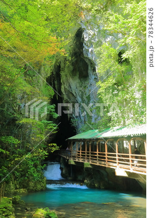 【山口県】秋芳洞入口付近 【山口県】秋芳洞入口付近 78344626