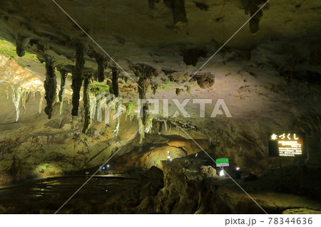 【山口県】秋芳洞の傘づくし 【山口県】秋芳洞の傘づくし 78344636