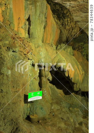 【山口県】秋芳洞の鍾乳石 【山口県】秋芳洞の鍾乳石 78344639
