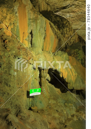 【山口県】秋芳洞の鍾乳石 78344640